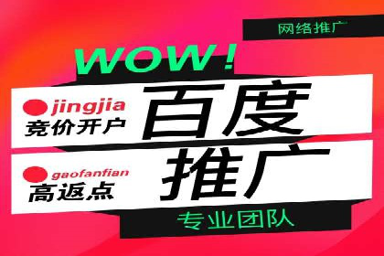 行业趋势下的SEM竞价代运营策略及成功实例